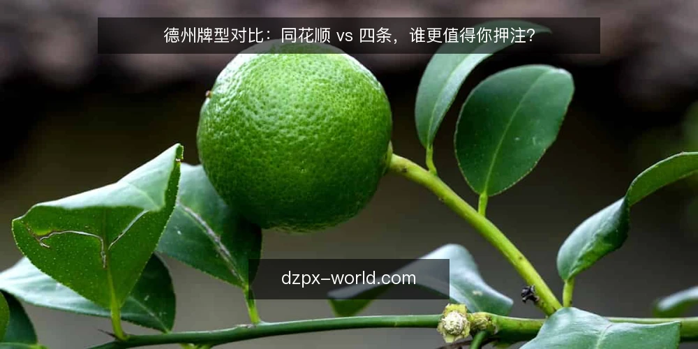 德州牌型对比：同花顺 vs 四条，谁更值得你押注？ — 为什么现在要重新审视你的牌型判断 配图